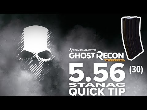 5.56 STANAG magazine (30) location and info - Ghost Recon Wildlands (quick tip)