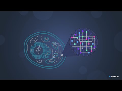 How AI will cure you?