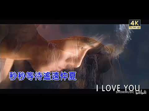 [ KTV ] 夏日倾情 Mùa Hạ Khuynh Tình - Lê Minh 黎明 Karaoke