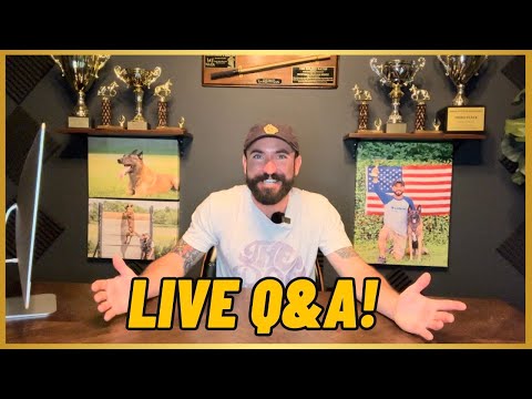 Live Dog Training Q&A!