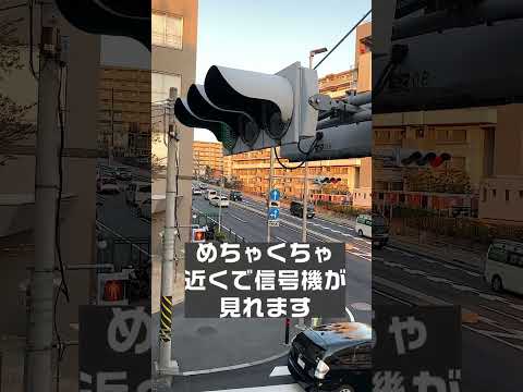 大迫力で見れます！ #神奈川 ,#信号機,#歩道橋,