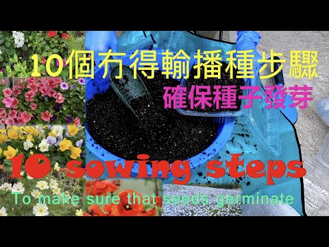 10個冇得輸播種步驟 – 確保種子發芽 – 10 sowing steps – to make sure that seeds germinate {種花篇 HK Gardening}