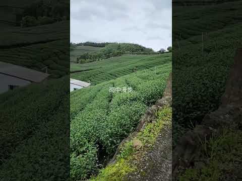 雨中漫步