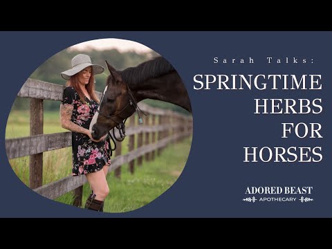 Springtime Herbs for Horses