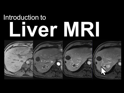 Introduction to Liver MRI: Approach and Case-Based Course