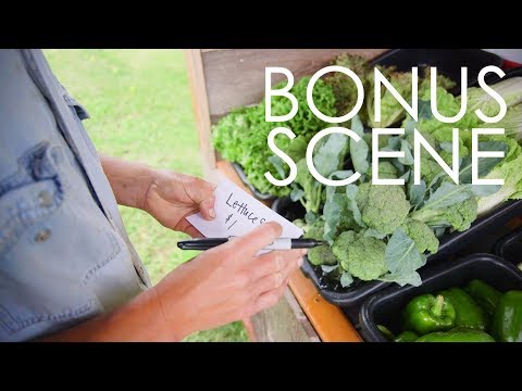 Ridgeland Harvest Farm Stand w/Monique Hooker | Wisconsin Foodie (Bonus Scene)