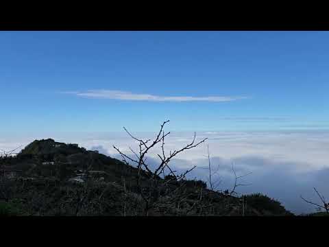 樟空倫山之雲海