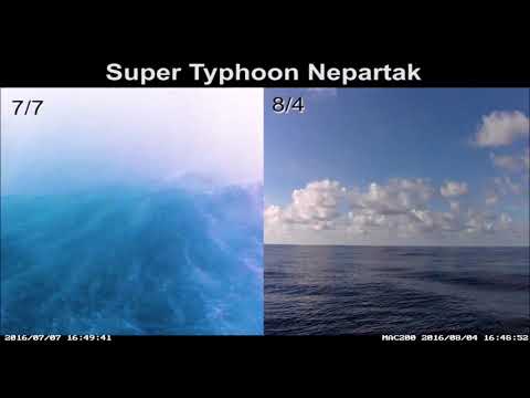 The role of enhanced velocity shears in rapid ocean cooling during Super Typhoon Nepartak 2016