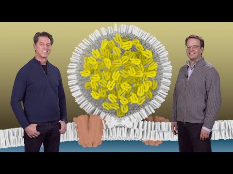 Farese and Walther (HSPH) 2: Mechanisms of Lipid Droplet Formation