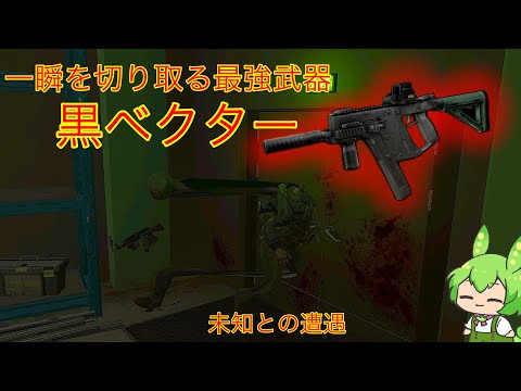 【タルコフ】最強爆速SMGのベクターで瞬間を切り裂くずんだもん実況/ KRISS Vector .45ACP