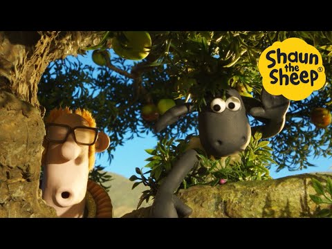 Shaun the Sheep 🐑 Apple Pie and Sheep - Cartoons for Kids 🐑 Full Episodes Compilation [1 hour]