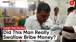 MP News: Revenue Official In Katni, Madhya Pradesh Swallows Bribe Money upon Spotting Cops