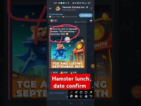 hamster lunch date confirm l#hamstercombat #hamsterlunchdate#shorts