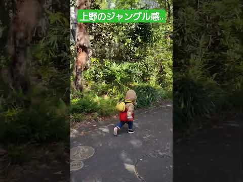 ウエノジャングル！🍌上野のジャングル感👶👶2歳5ヶ月双子