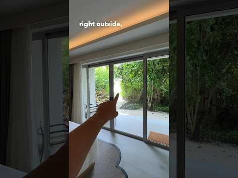 Beachfront Room / Pavilion Room Tour at Avani+ Fares #Maldives #travel