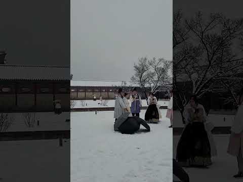 경복궁 폭설에 신난 외국인들..Snowy Gyeongbokgung Palace