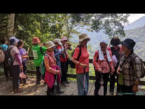 2024.04.03 烏來內洞森林步道走讀  松山社大台北自然步道尋訪週三班113春 - 05.06