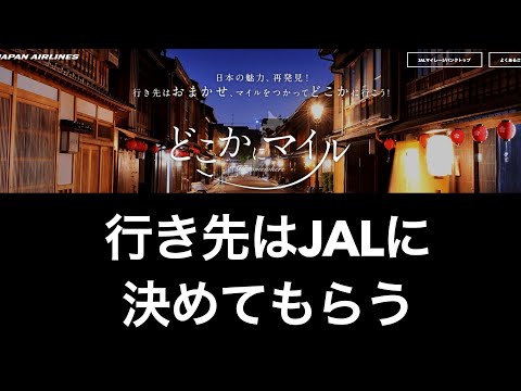 【男ひとり旅】どこかにマイルをやってみたら初めての場所だった！【JAL】旅ガチャ