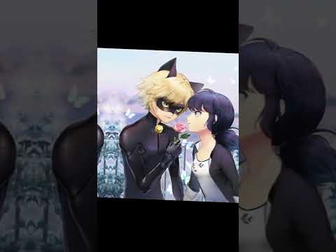 Marichat (miraculous ladybug)