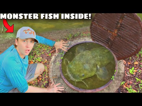 I Found a Sewer FILLED with Monster Alien Fish!