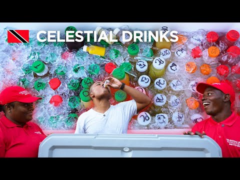 Healthy Juices & Punches at Celestial Drinks in San Fernando, Trinidad & Tobago 🇹🇹 Foodie Nation