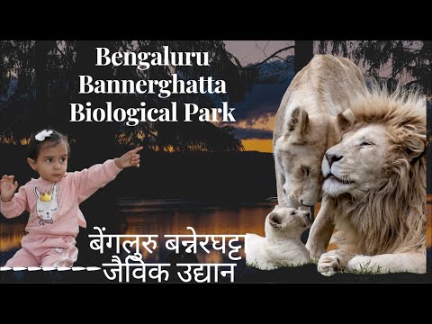 Bannerghatta Biological Park | Jungle Safari | Zoo | Travel Vlog | Bangalore | Forest |  Lion Family