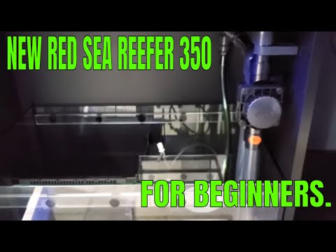 New Red Sea Reefer 350 For Beginners