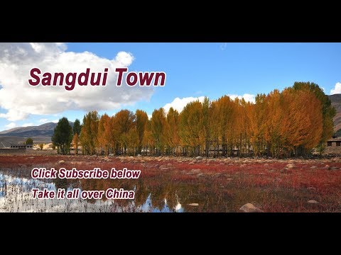 VR on road ‖ Sichuan,China ‖  Sangdui Town：Red grass beach is the most beautiful scenic spot.