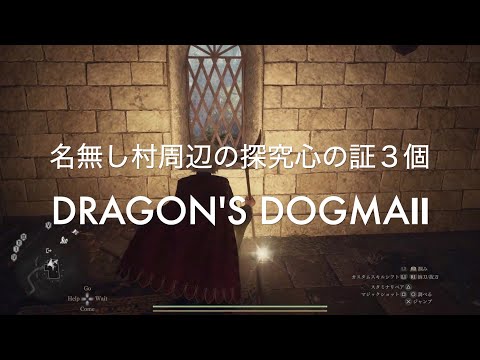 名無し村周辺の探究心の証３個【DRAGON'S DOGMA2 PS5】