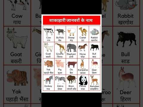 शाकाहारी जानवरों के नाम अंग्रेजी में  Herbivorous Animals Name in Hindi and English #animalnames