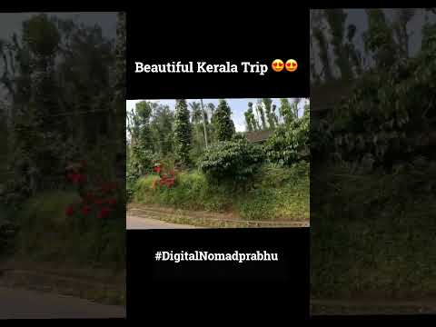 Beautiful kerala wayanad india || 😍😍|| Kerala trip full video in YouTube channel #shorts #trending