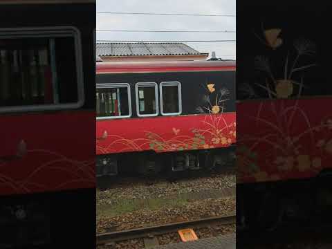 普通金沢行きと和倉温泉駅からの回送花嫁のれん号