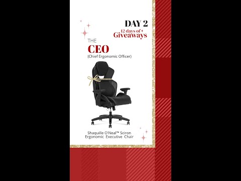 The CEO (Chief Ergonomic Officer) Giveaway