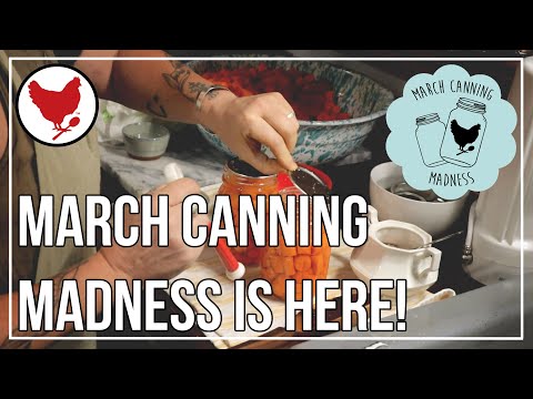 March Canning Madness is HERE! 🫙