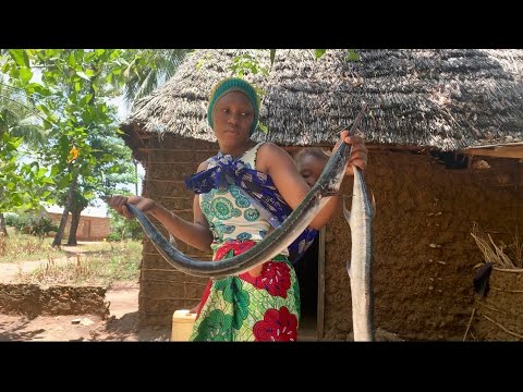 Our Youngest African Village Mom #cooking The Most Delicious Snake Fish For Dinner