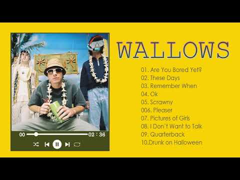 Wallows Best Songs Playlist- Wallows Greatest Hits Full Album 2023