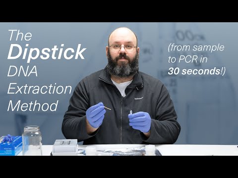 Dipstick DNA Extraction - From Sample to PCR in 30 Seconds