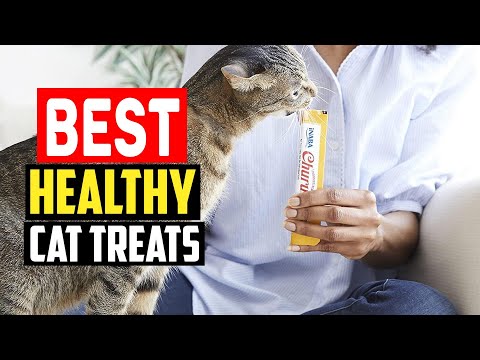 ✅Top 5 Best Healthy Cat Treats Of 2024