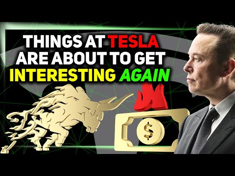 Buckle Up, Tesla Fans / New Tesla Features / Cybertruck Updates ⚡️