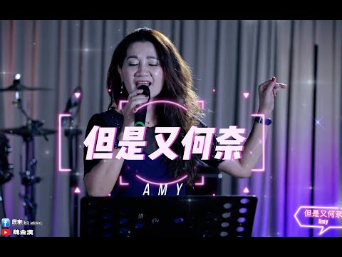 但是又何奈-amy