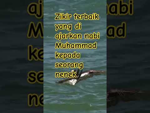 Zikir #quotes #motivation #shortsvideo #shortsfeed #shorts #reels #youtubeshorts #youtube #subscribe