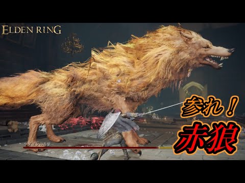 参れ！「ラダゴンのSEKIRO」【ELDEN RING】