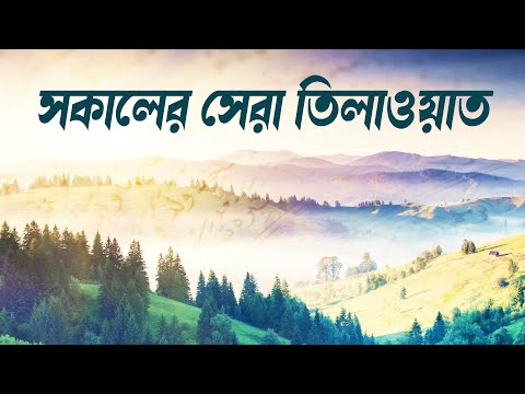 সকালের সেরা তিলাওয়াত - সূরা ইয়াসিন, রহমান, মূলক, ওয়াকিয়াহ। BEST RECITATION BY ZAIN ABU KAUTSAR