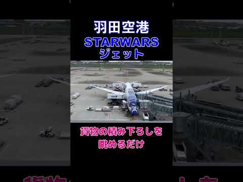 【羽田空港】STARWARSジェットの貨物積み下ろしを眺めるだけ　#羽田空港 #HND #airport #ANA