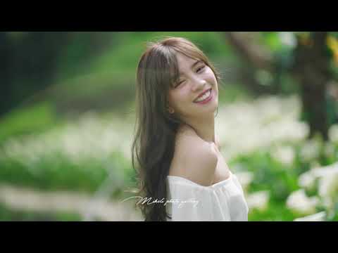 陽明山海芋 Calla Lily 創作影片 ｜Creative Film ｜小甜筒影像制作