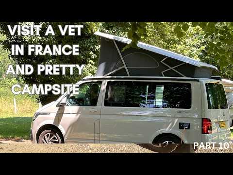 Travel through France for Dog Vet appointment in VW California Ocean Campervan stay Merry-sur-Yonne