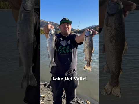 Lake Del Valle Trout Fishing‼️#trout #fishing #bankfishing #delvalle #catchandcook #video #fish