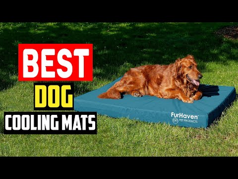 ✅Top 5 Best Dog Cooling Mats, Beds, and Pads To Keep a Dog Cool in 2024