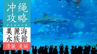 沖繩攻略—自驾美麗海水族館