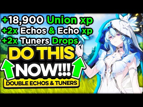 Wuthering Waves Do this NOW! before it's gone Fast Union Leveling & Best Echos to farm